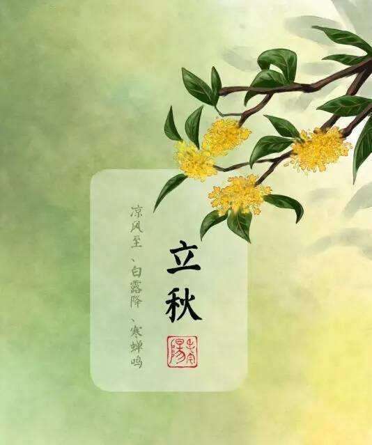 热点生活 第84页