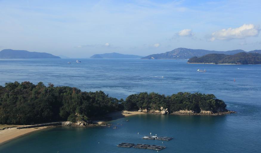 地方新闻 第47页