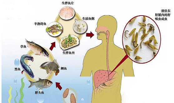 游戏专题 第15页